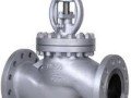 globe-valves-in-kolkata-small-0