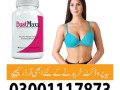 bustmaxx-capsules-in-rahim-yar-khan-03001117873-small-2